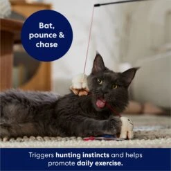 Frisco Zoomies & Chill Popcorn Teaser Wand Cat Toy With Catnip -Pet Toys Store 241713 PT5. AC SS1800 V1691785246