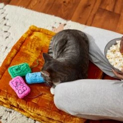 Frisco Zoomies & Chill Gummy Bear Plush Cat Toy With Catnip 7 Frisco Zoomies & Chill Gummy Bear Plush Cat Toy With Catnip -Pet Toys Store 241715 PT6. AC SS1800 V1610768413