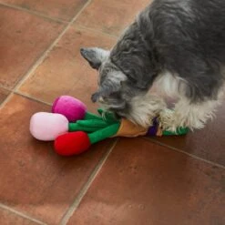 Frisco Valentine Rose Bouquet Plush Squeaky Dog Toy -Pet Toys Store 241733 PT6. AC SS1800 V1607990908