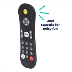 Frisco Zoomies & Chill Remote Latex Squeaky Dog Toy -Pet Toys Store 241753 PT2. AC SS1800 V1686579083
