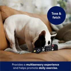 Frisco Zoomies & Chill Remote Latex Squeaky Dog Toy -Pet Toys Store 241753 PT6. AC SS1800 V1686580150