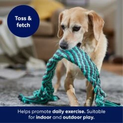 Frisco Flat Teal & Gray Braided Rope Squeaky Fetch Dog Toy 10 Frisco Flat Teal & Gray Braided Rope Squeaky Fetch Dog Toy -Pet Toys Store 242127 PT3. AC SS1800 V1695242179