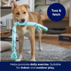 Frisco Double Fun Rope Crinkle Fetch Dog Toy 10 Frisco Double Fun Rope Crinkle Fetch Dog Toy -Pet Toys Store 242137 PT3. AC SS1800 V1695242178