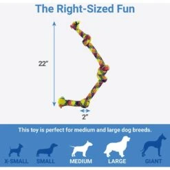 Pet Toys Store -Pet Toys Store 242139 PT1. AC SS1800 V1605629207