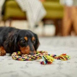 Frisco Pretzel Rope Dog Toy -Pet Toys Store 242141 PT2. AC SS1800 V1605208795