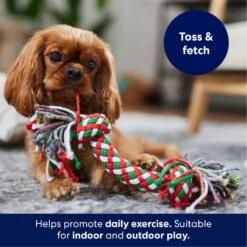 Frisco Double Knot Tri-Color Rope Fetch Dog Toy -Pet Toys Store 242149 PT3. AC SS1800 V1695241915