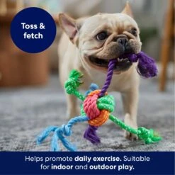Frisco Fetch Colorful Ball Knot Rope Dog Toy -Pet Toys Store 242159 PT3. AC SS1800 V1695242179