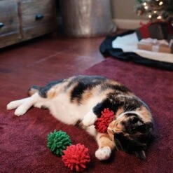 Frisco Holiday Moppy Ball Cat Toy With Catnip, 3 Count 9 Frisco Holiday Moppy Ball Cat Toy With Catnip, 3 Count -Pet Toys Store 244935 PT2. AC SS1800 V1602172003