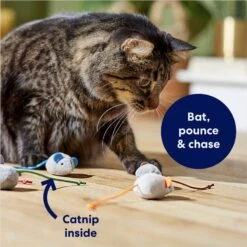 Frisco Mice Plush Cat Toy With Catnip -Pet Toys Store 245899 PT2. AC SS1800 V1678723852