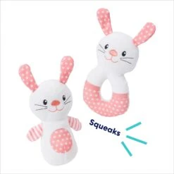 Frisco Bunny Plush Squeaky Puppy Toy -Pet Toys Store 245916 PT2. AC SS1800 V1695760956