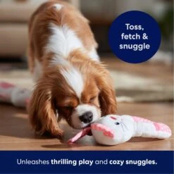 Frisco Bunny Plush Squeaky Puppy Toy -Pet Toys Store 245916 PT3. AC SS1800 V1695760959