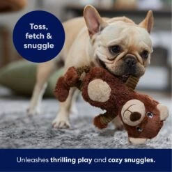 Frisco Bear Plush Squeaky Dog Toy 12 Frisco Bear Plush Squeaky Dog Toy -Pet Toys Store 245924 PT4. AC SS1800 V1695760929