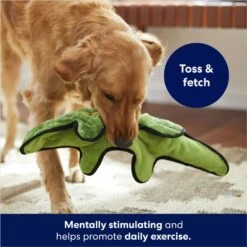 Frisco Alligator Stuffing-Free Flat Plush Squeaky Dog Toy -Pet Toys Store 245943 PT2. AC SS1800 V1678723898