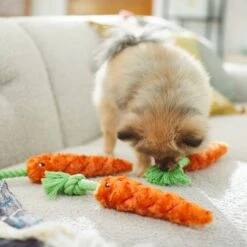 Frisco Easter Carrot Plush With Rope Dog Toy -Pet Toys Store 248023 PT5. AC SS1800 V1608769360