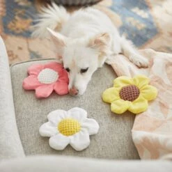 Frisco Easter Spring Flowers Plush Dog Toy 10 Frisco Easter Spring Flowers Plush Dog Toy -Pet Toys Store 248043 PT5. AC SS1800 V1608769957