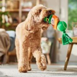 Frisco St. Patrick's Leprechaun Plush With Tennis Ball Squeaky Dog Toy -Pet Toys Store 249472 PT4. AC SS1800 V1700163040