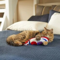 Frisco Baseball Cleat Cat Toy -Pet Toys Store 252734 PT5. AC SS1800 V1615814504