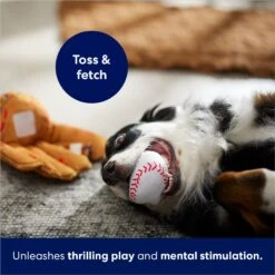 Frisco Baseball Mitt & Ball Interactive Plush Squeaky Dog Toy -Pet Toys Store 252756 PT5. AC SS1800 V1686579205