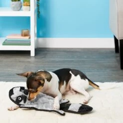 Frisco Alligator Stuffing-Free Flat Plush Squeaky Dog Toy & Frisco Raccoon Stuffing-Free Flat Plush Squeaky Dog Toy -Pet Toys Store 255471 PT4. AC SS1800 V1602691287