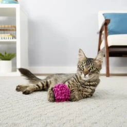 Frisco Moppy Ball Cat Toy With Catnip & Frisco Moppy Ball Cat Toy With Catnip -Pet Toys Store 255585 PT4. AC SS1800 V1602691598