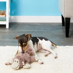 Frisco Monkey Plush Squeaky Dog Toy & Frisco Fox Plush Squeaky Dog Toy -Pet Toys Store 255597 PT2. AC SS1800 V1602702685