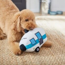 Frisco Road Trip Happy Camper Plush Squeaky Dog Toy -Pet Toys Store 261991 PT3. AC SS1800 V1618598545