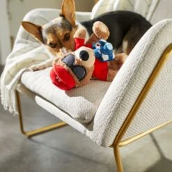 Frisco Road Trip Tourist Bear Plush Squeaky Dog Toy -Pet Toys Store 261995 PT3. AC SS1800 V1618598730