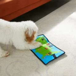 Frisco Road Trip Foldable Map Flat Plush Squeaky Dog Toy -Pet Toys Store 261998 PT4. AC SS1800 V1619791937