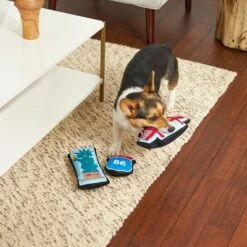 Frisco Road Trip Sightseeing Plush Squeaky Dog Toy, 3 Count -Pet Toys Store 262001 PT3. AC SS1800 V1618598716