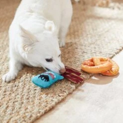 Frisco Road Trip Jerky & Pretzel Plush Squeaky Dog Toy, 2 Count -Pet Toys Store 262012 PT3. AC SS1800 V1619792018