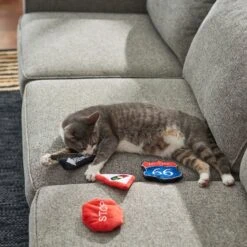 Frisco Road Trip Traffic Signs Plush Cat Toy With Catnip 7 Frisco Road Trip Traffic Signs Plush Cat Toy With Catnip -Pet Toys Store 262024 PT3. AC SS1800 V1618598335