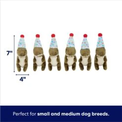 Frisco Birthday Volcano & Dinosaurs Hide & Seek Puzzle Plush Squeaky Dog Toy -Pet Toys Store 264424 PT2. AC SS1800 V1695761147