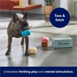Frisco Macaron Interactive Plush Squeaky Dog Toy -Pet Toys Store 264438 PT5. AC SS1800 V1686579089