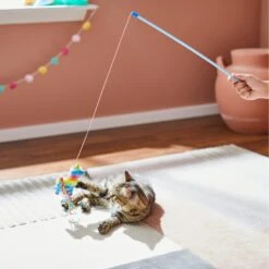 Frisco Pinata Teaser Wand Cat Toy With Catnip -Pet Toys Store 264446 PT3. AC SS1800 V1618948636