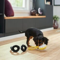 Frisco Magic Pocket Watch & Glasses Plush Squeaky Dog Toy, 2 Count -Pet Toys Store 265590 PT3. AC SS1800 V1620938935