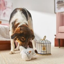 Frisco Magic Owl & Cage 2-in-1 Plush Squeaky Dog Toy 9 Frisco Magic Owl & Cage 2-in-1 Plush Squeaky Dog Toy -Pet Toys Store 265592 PT3. AC SS1800 V1620938916