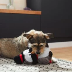 Frisco Magic Owl Plush Squeaky Dog Toy -Pet Toys Store 265596 PT3. AC SS1800 V1623352167