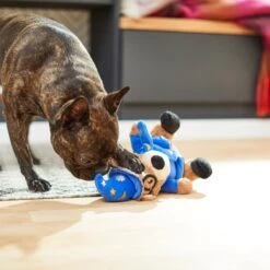 Frisco Magic Wizard Bear Plush Squeaky Dog Toy -Pet Toys Store 265604 PT3. AC SS1800 V1623352109