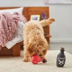 Frisco Magic Potions Latex Squeaky Dog Toy, 2 Count -Pet Toys Store 265632 PT3. AC SS1800 V1620939021