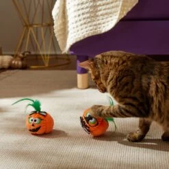 Frisco Halloween Nerdy Jack-o-Lanterns Plush Cat Toy With Catnip, 2 Count -Pet Toys Store 270313 PT3. AC SS1800 V1624824951