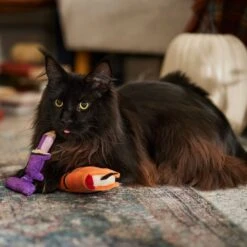 Frisco Halloween Enchanted Book & Candle Plush Cat Toy With Catnip, 2 Count -Pet Toys Store 270321 PT3. AC SS1800 V1689878926