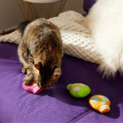 Frisco Colorful Skulls Plush Cat Toy With Catnip, 3 Count -Pet Toys Store 270325 PT3. AC SS1800 V1630350992