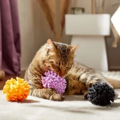 Frisco Halloween Moppy Ball Cat Toy With Catnip 8 Frisco Halloween Moppy Ball Cat Toy With Catnip -Pet Toys Store 270337 PT3. AC SS1800 V1624817812