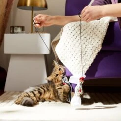 Frisco Sugar Skull Bride & Groom Bouncy Cat Toy With Catnip, 2 Count -Pet Toys Store 270343 PT3. AC SS1800 V1624817778