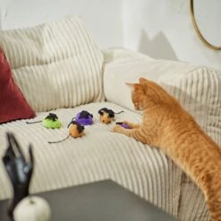 Frisco Halloween Bat Mice Plush Cat Toy With Catnip -Pet Toys Store 270353 PT3. AC SS1800 V1624817260