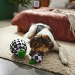 Frisco Halloween Fancy Pumpkin 2-in-1 Plush Squeaky Dog Toy 11 Frisco Halloween Fancy Pumpkin 2-in-1 Plush Squeaky Dog Toy -Pet Toys Store 270359 PT3. AC SS1800 V1624817665