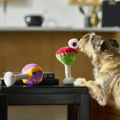 Frisco Halloween Cocktail Plush Squeaky Dog Toy -Pet Toys Store 270361 PT3. AC SS1800 V1624817495