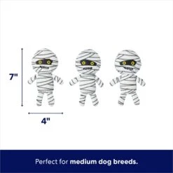 Frisco Halloween Mummy & Coffin Hide & Seek Puzzle Plush Squeaky Dog Toy 10 Frisco Halloween Mummy & Coffin Hide & Seek Puzzle Plush Squeaky Dog Toy -Pet Toys Store 270365 PT2. AC SS1800 V1689872932