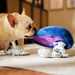 Frisco Halloween Mummy & Coffin Hide & Seek Puzzle Plush Squeaky Dog Toy 11 Frisco Halloween Mummy & Coffin Hide & Seek Puzzle Plush Squeaky Dog Toy -Pet Toys Store 270365 PT3. AC SS1800 V1624817620