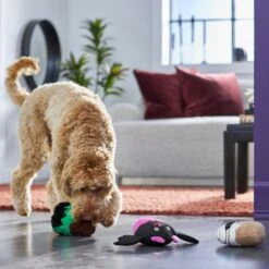 Frisco Halloween Cupcakes Plush Squeaky Dog Toy -Pet Toys Store 270367 PT3. AC SS1800 V1624817674